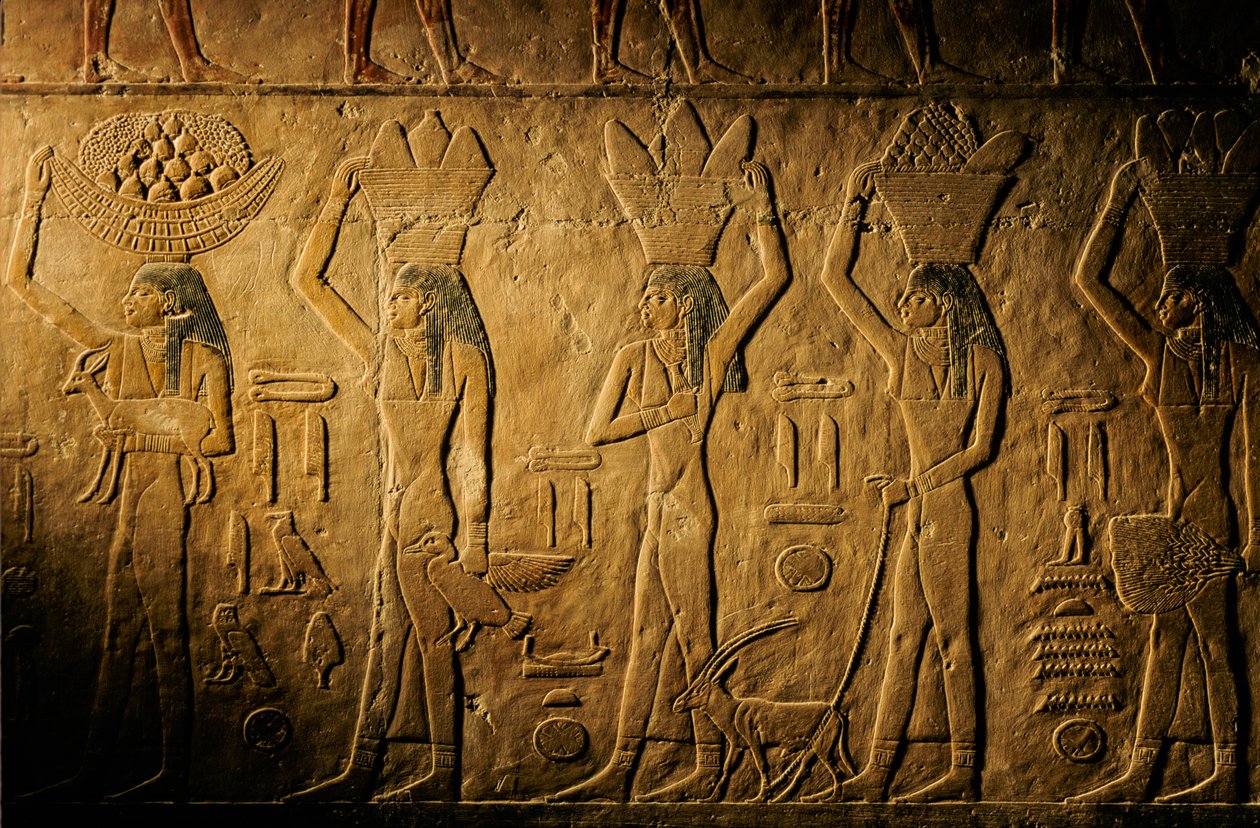 Kvinner som bærer brød, fugl, geit og grønnsaker, graven til Tiye, Egypt; Det gamle riket; Saqqa… av Kenneth Garrett