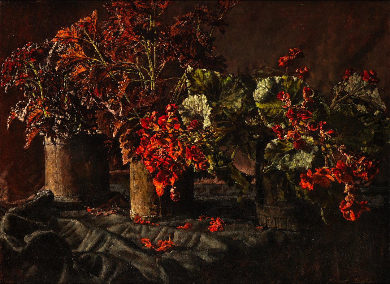 Begonia (olje på lerret) av Kenneth Newton