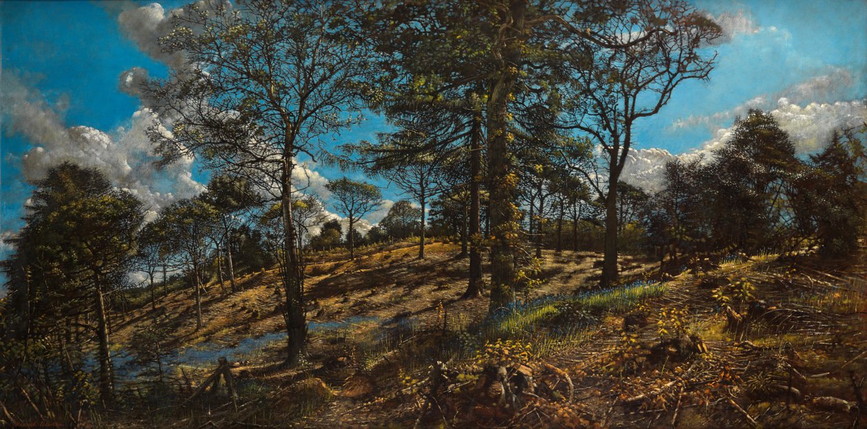 Bigbury Wood (olje på lerret) av Kenneth Newton
