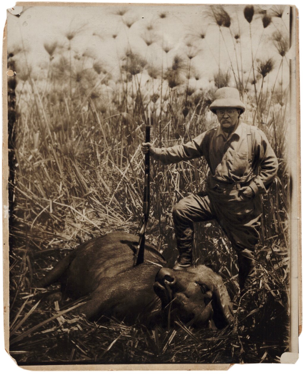 Oberst Roosevelt står ved siden av en vannbøffel som han har skutt (sepia-bilde) av Kermit Roosevelt