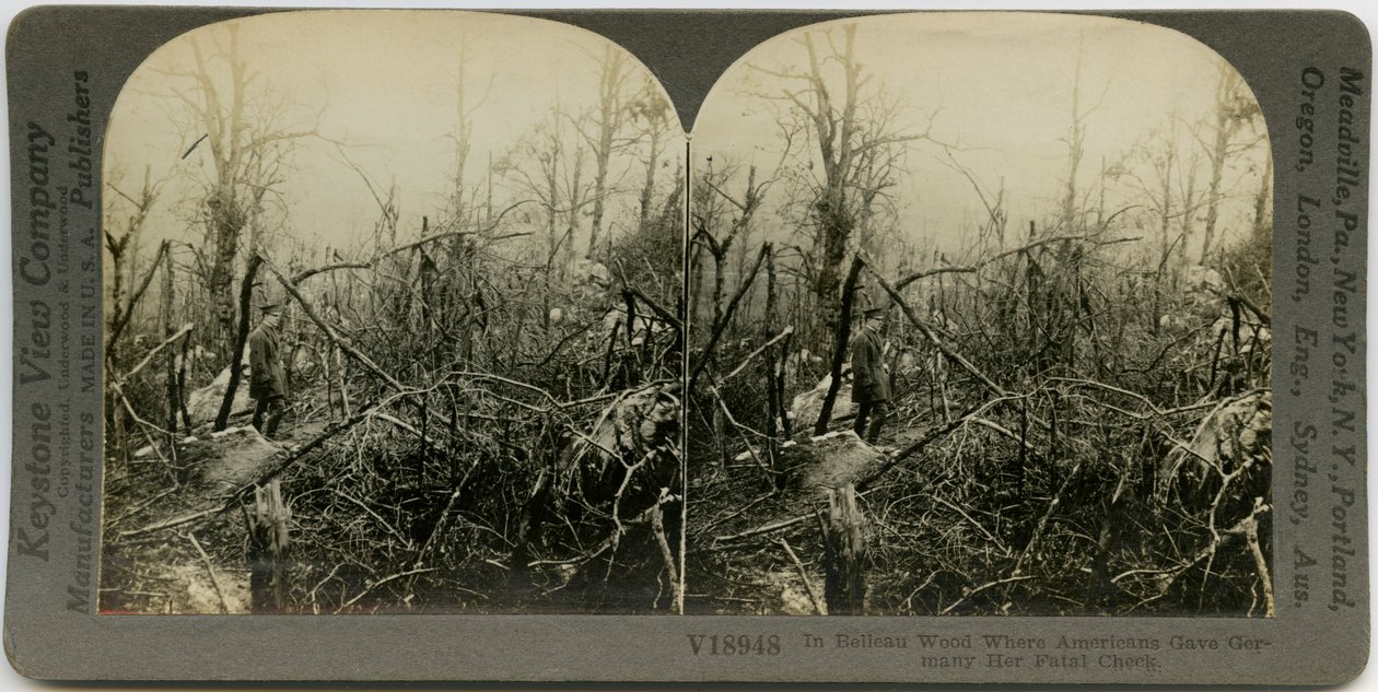 Horisontalt sepia -stereokort som viser en uniformert mann som går gjennom et område dekket med ødelagte trær. Keystone stereografnummer V18948. Tittelen lyder av Keystone View Company
