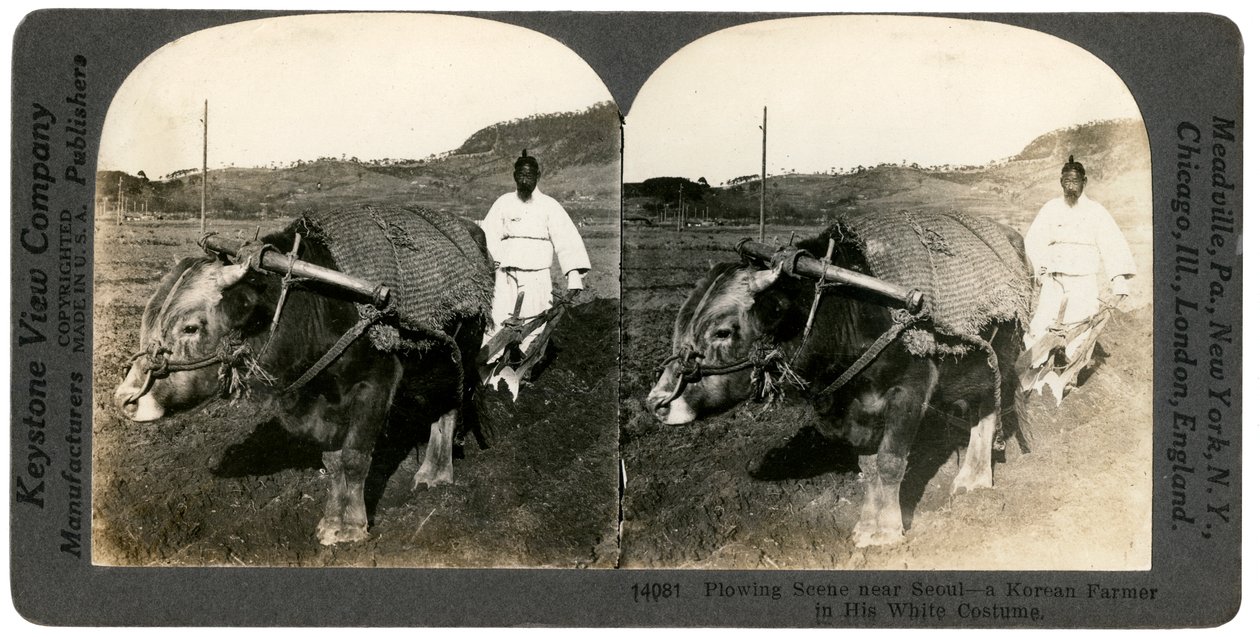 Jordbruk nær Seoul, Sør-Korea, 1900-tallet. av Keystone View Company