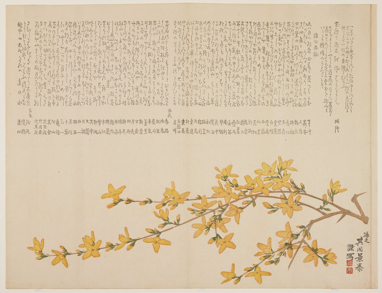 Japanese Yellow Rose, eller Yamabuki, ca. 1818-29 (farget treblokktrykk) av Kid Kageyasu