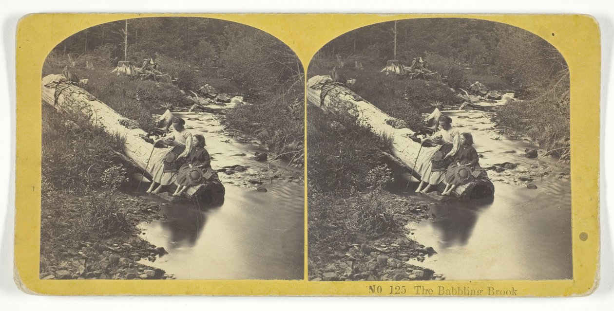 The Babbling Brook, 185575. Skapere: Kilburn Brothers, BW Kilburn. av Kilburn Brothers, BW Kilburn