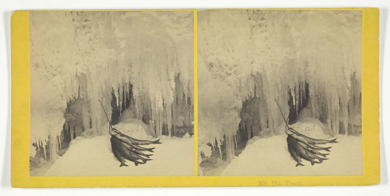 Ørret, 185575. Skapere: Kilburn Brothers, BW Kilburn. av Kilburn Brothers, BW Kilburn