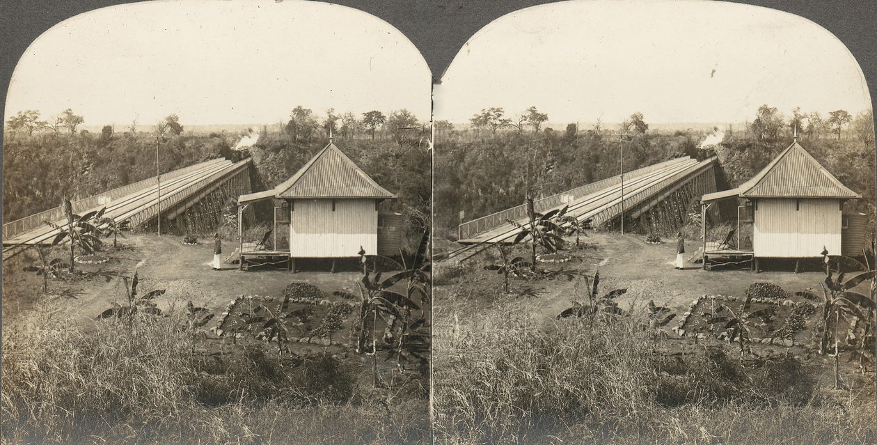 Gruppe på 14 stereografer av Afrika og skuespillere, 1850-1910-tallet. av Kilburn Brothers