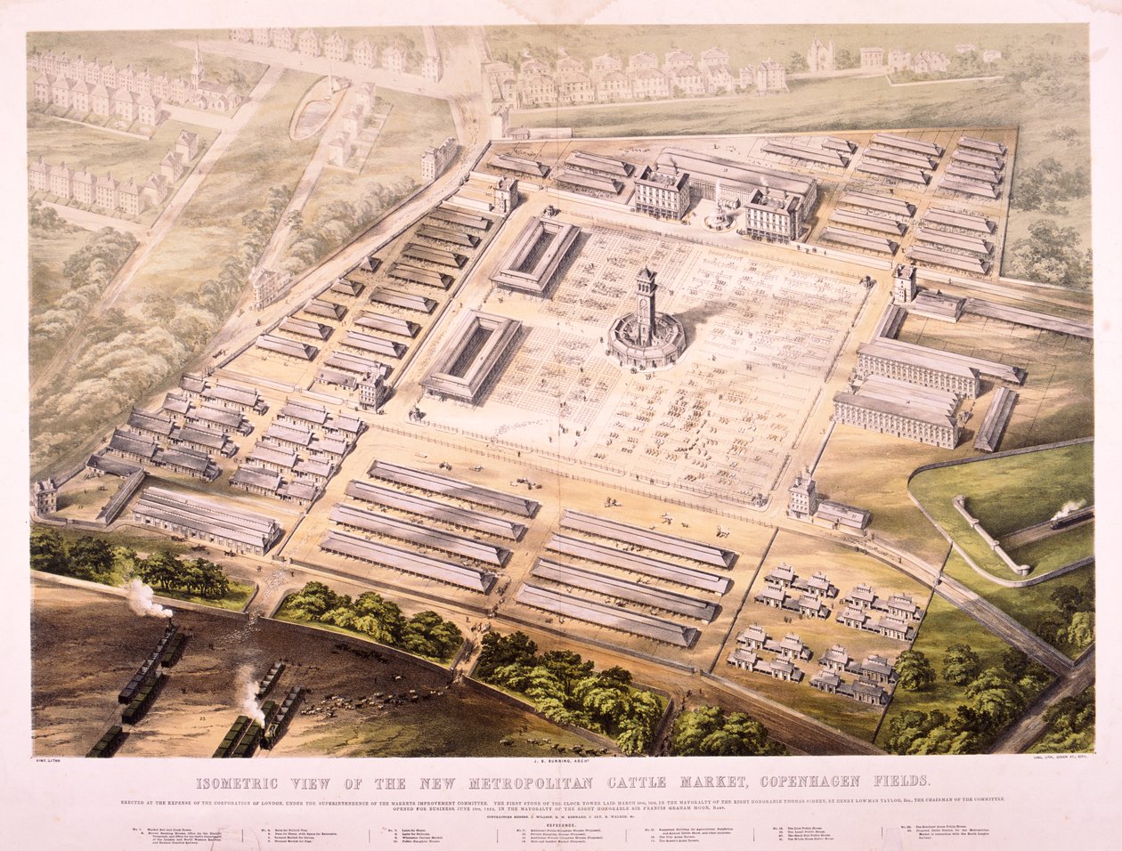 Metropolitan Cattle Market, London, 1855 av King