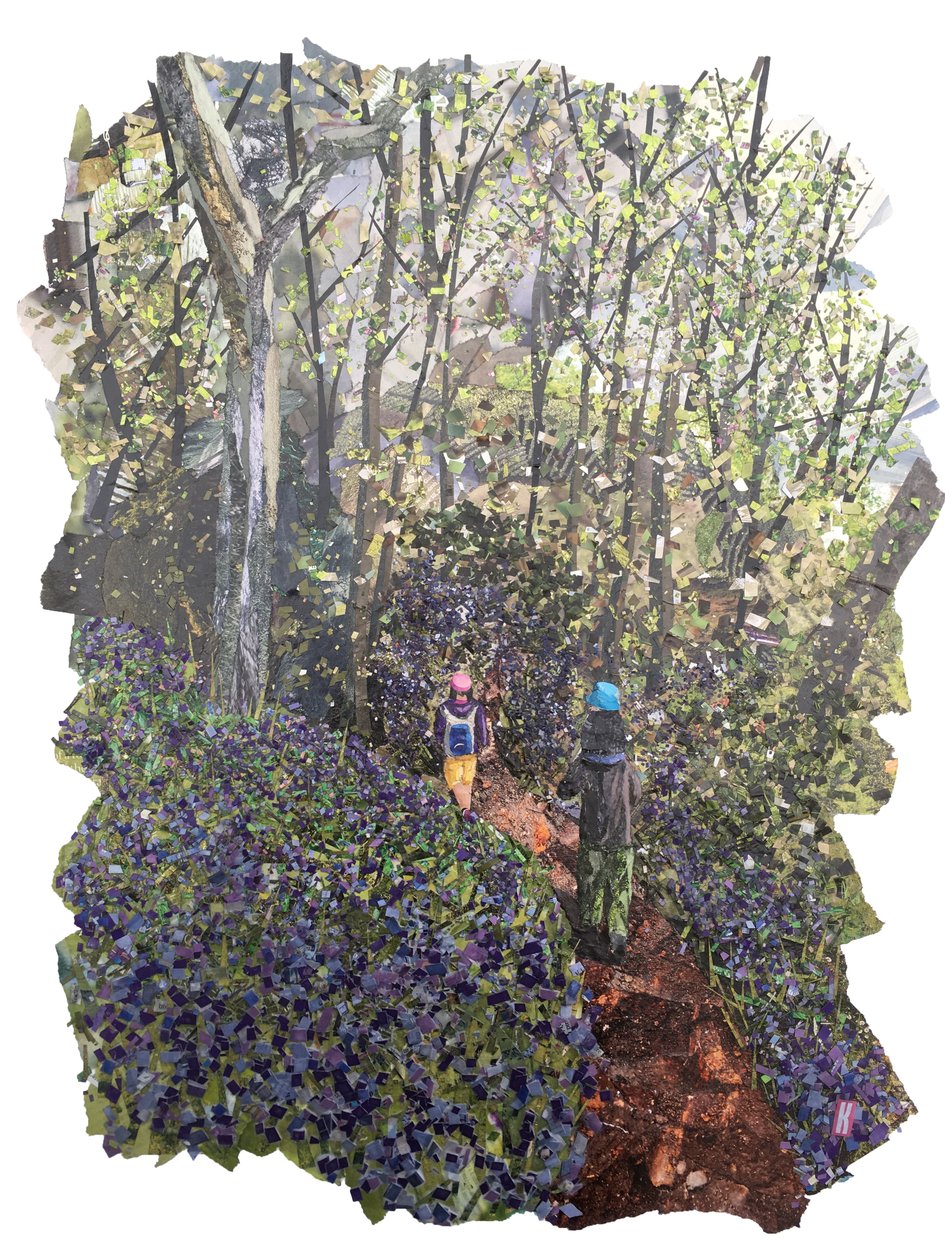 Spring Bank av Kirstie Adamson