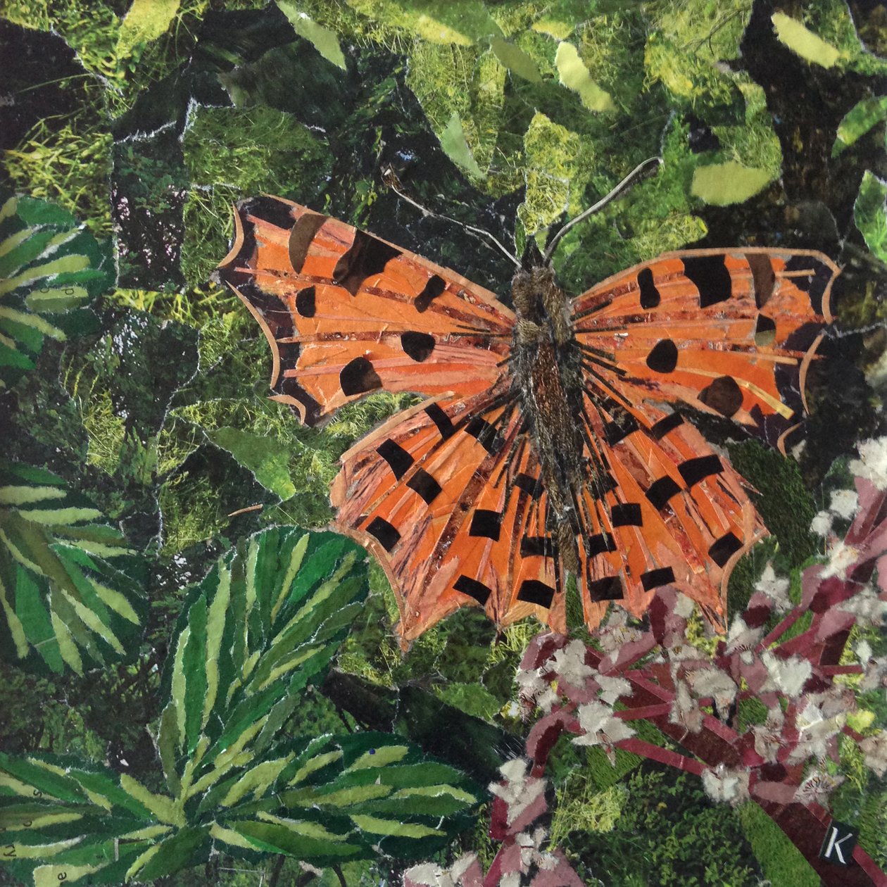 Flutter - Kommasommerfugl på Japonica av Kirstie Adamson