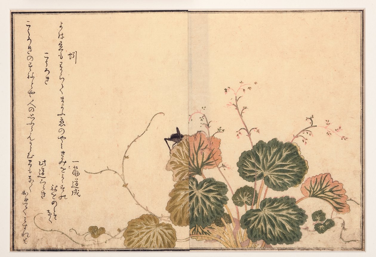 Meitemark og svart cricket, 1788 (treblokk) av Kitagawa Utamaro