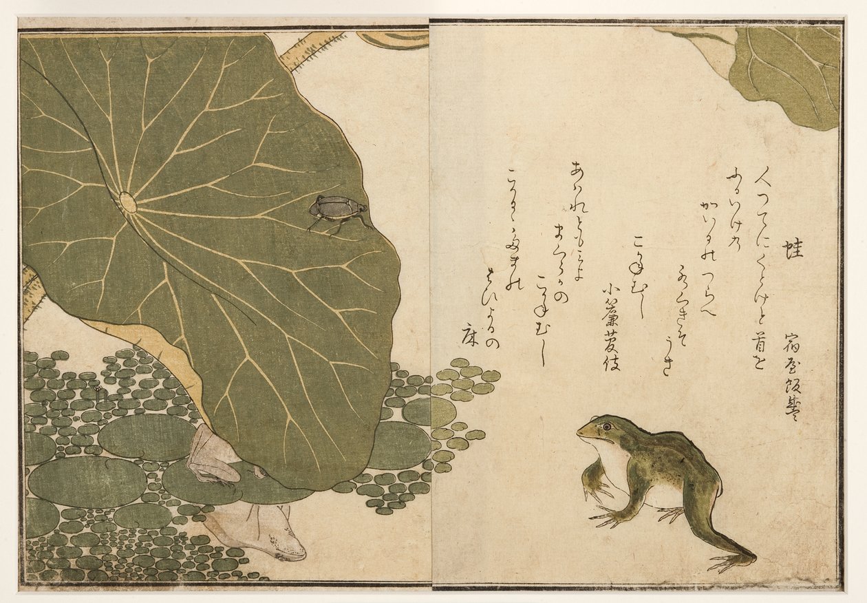 Frosker og gyllen insektbille, 1788 (treblokk) av Kitagawa Utamaro