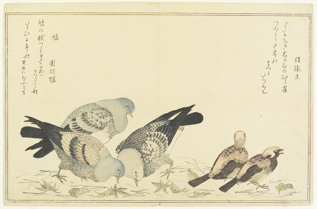 Trespurv og steindue, ca. 1790 av Kitagawa Utamaro