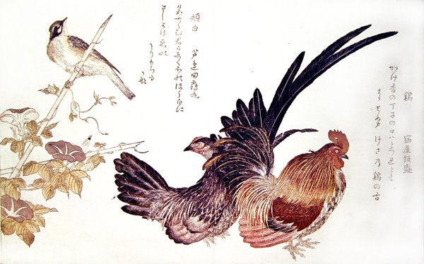 En tamhøne og hane og japansk bunting på et bambusskudd, ca. 1791 (farget treblokktrykk) av Kitagawa Utamaro