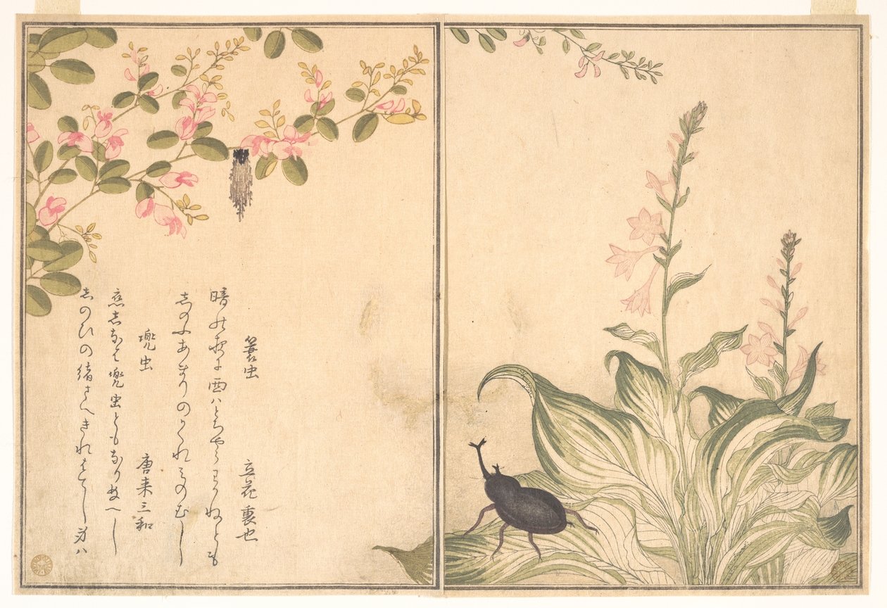 Sekketøylarve (Minomushi); neshornbille (Kabutomushi), fra Bildeboken om krypende skapninger (Ehon mushi erami) av Kitagawa Utamaro