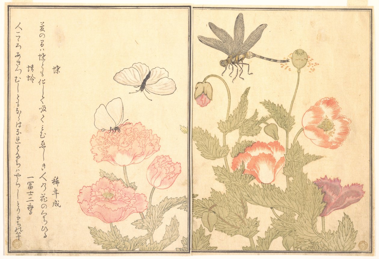 Sommerfugl (Chō); Øyenstikker (Kagerō eller Tonbo), fra Bildeboken om krypende skapninger (Ehon mushi erami) av Kitagawa Utamaro