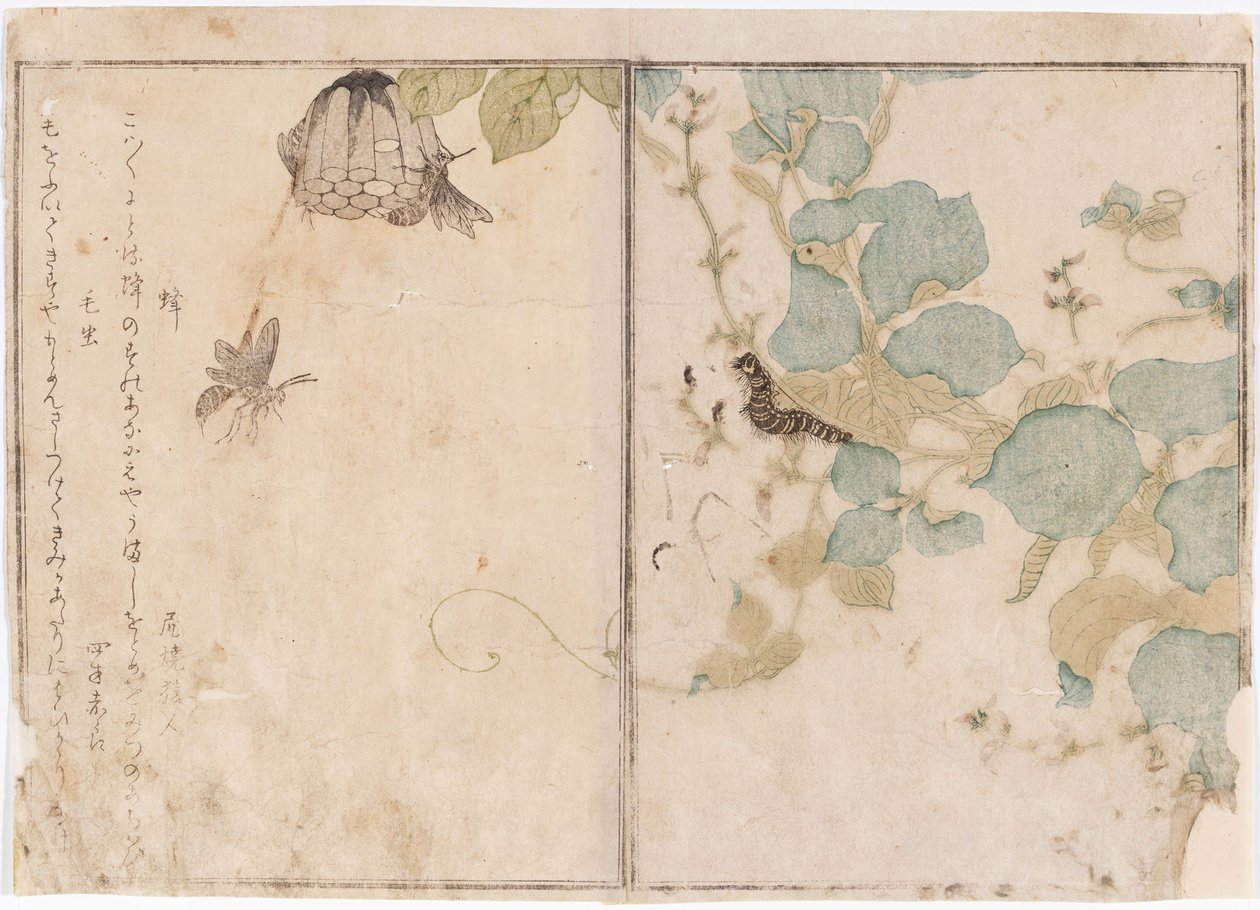 Larve og bier av Kitagawa Utamaro