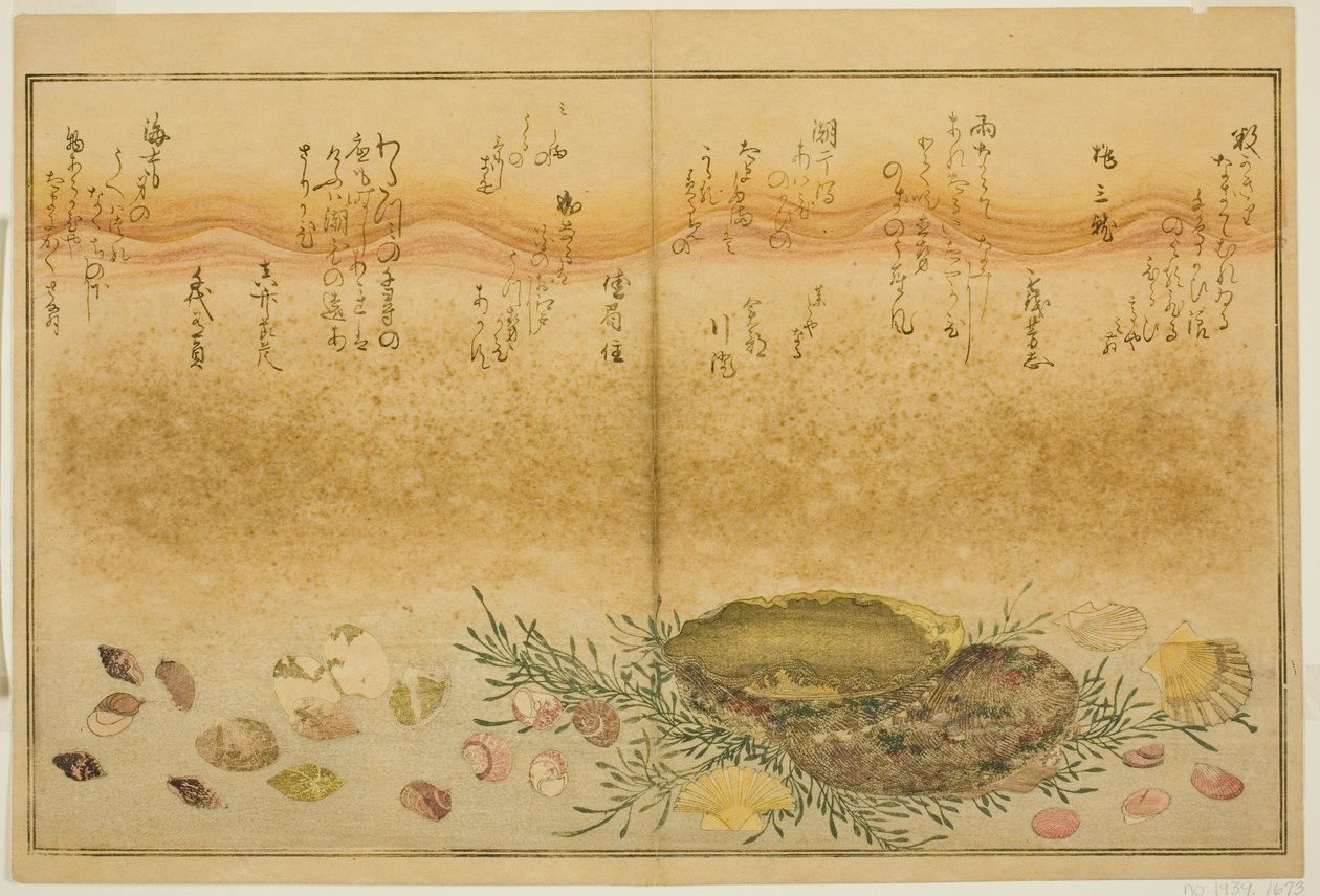 Chidori - utenfor, smerte - utenfor, abalone, bevege seg - utenfor, muslinger - ute, det er en idé for Allah, fra latte-bladbladene til av Kitagawa Utamaro