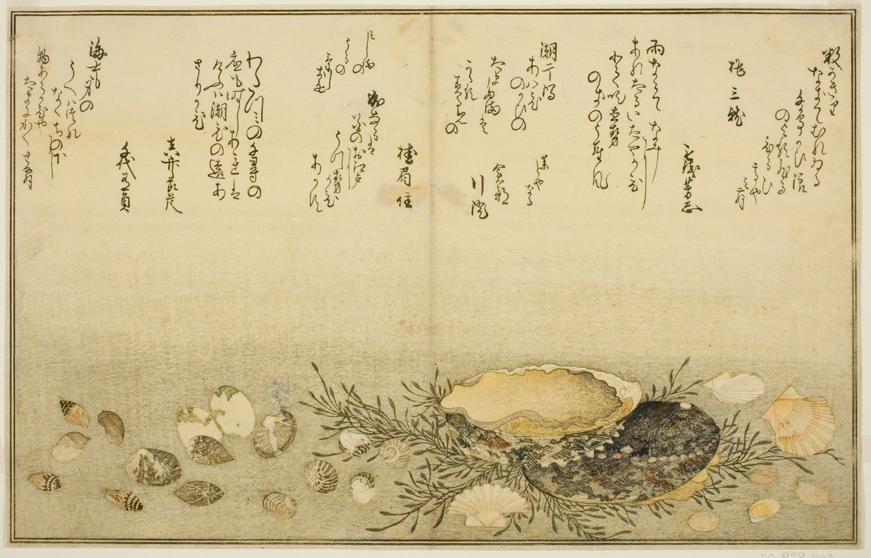 Chidori - utenfor, smerte - utenfor, abalone, bevege seg - utenfor, muslinger - ute, det er en idé for Allah, fra latte-bladbladene til av Kitagawa Utamaro