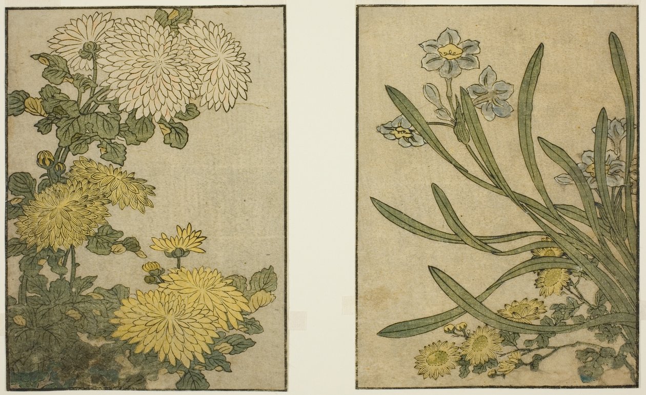 Chrysanthemum and Narcissus, from the illustrated book "Picture Book: Flowers of the Four Seasons (Ehon shiki no hana)," vol. 2   1292953   no       norwegian Successfully Translated  Original: Triomf van Christus (tweede deel) Translat: Triomf van Christu av Kitagawa Utamaro