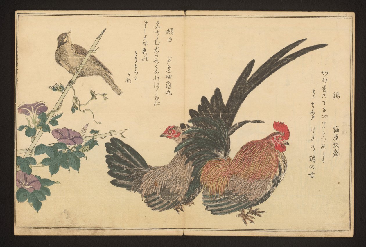 Hane og spyd av Kitagawa Utamaro