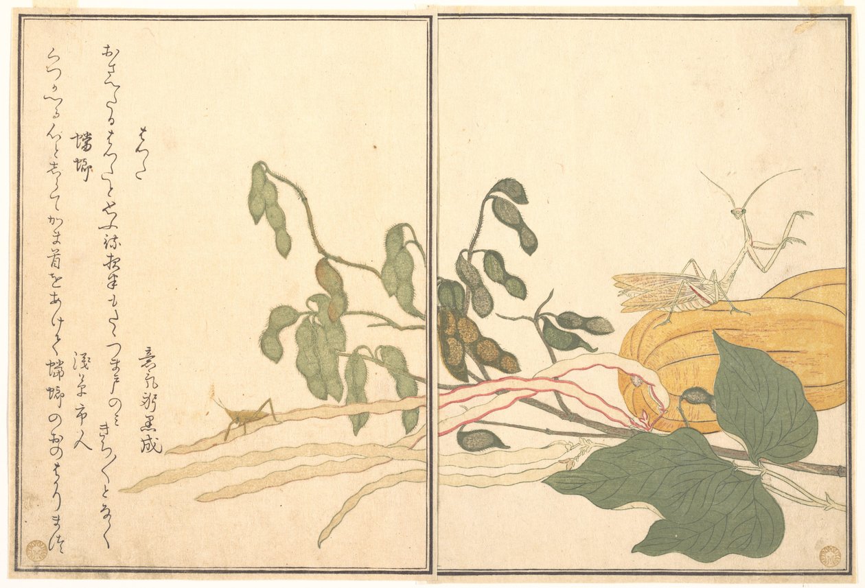 Kjeglehodet gresshoppe eller gresshoppe (batta); kneler (Tōrō eller Kamakiri), fra Bildebok over krypende skapninger (Ehon mushi erami) av Kitagawa Utamaro