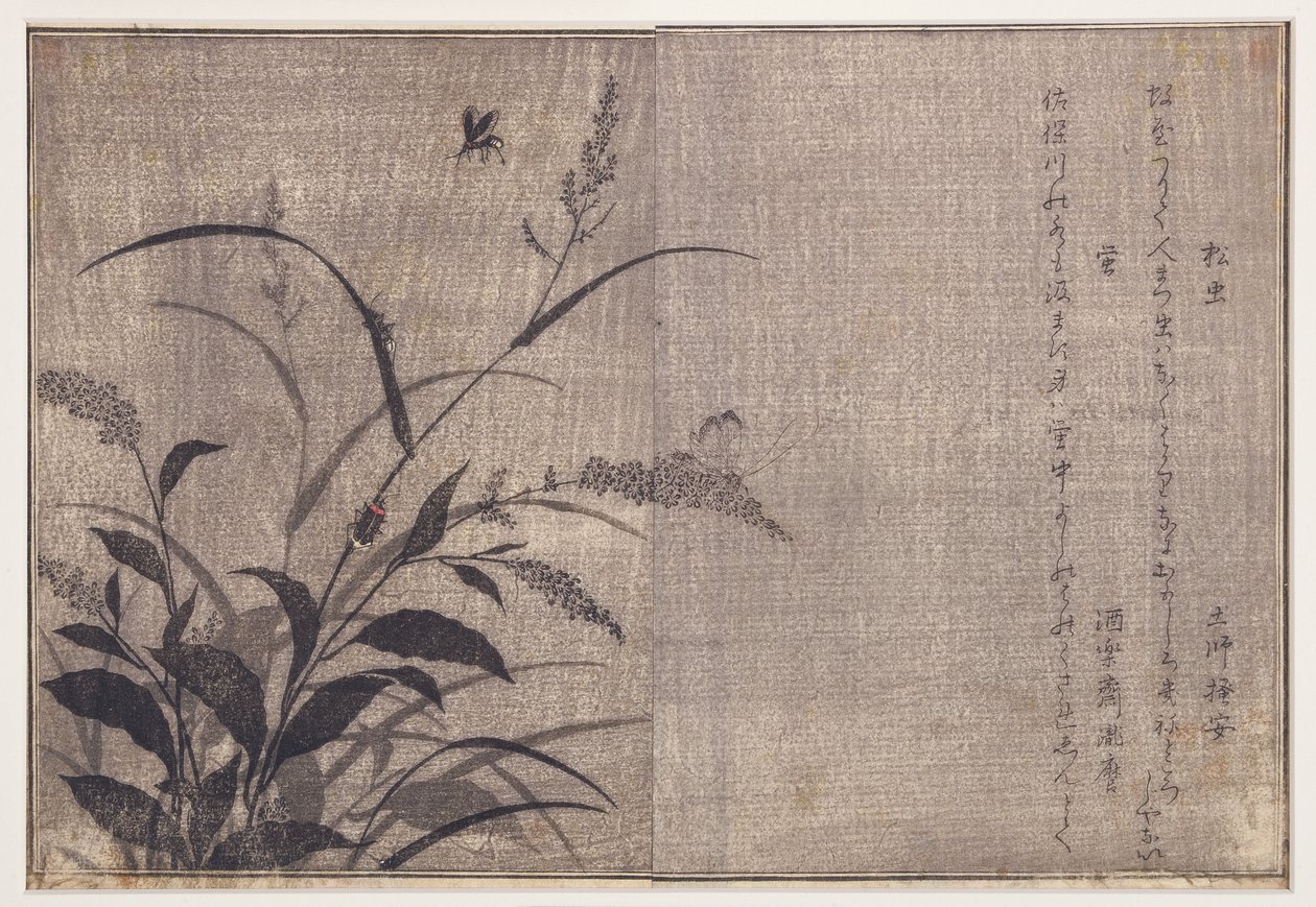 Cricket og ildfluer, 1788 (treblokk) av Kitagawa Utamaro