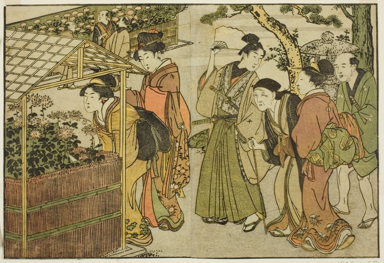 Visning av krysantemum, fra den illustrerte boken "Picture Book: Flowers of the Four Seasons (Ehon shiki no hana)," vol. 2 av Kitagawa Utamaro