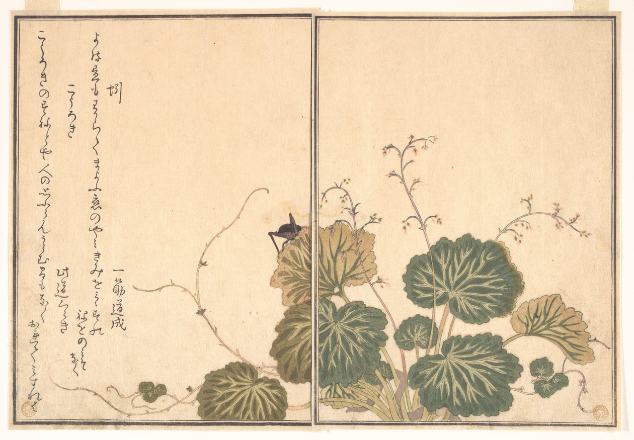 Meitemark (Mimizu); siriss (Kōrogi), fra Bildeboken med krypende skapninger (Ehon mushi erami) av Kitagawa Utamaro
