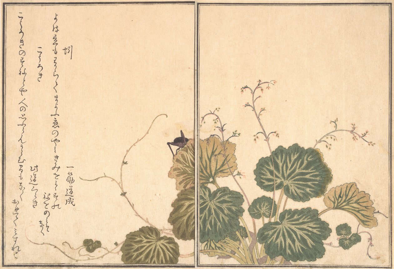 Meitemark Mimizu, Cricket Korogi..., 1788. av Kitagawa Utamaro