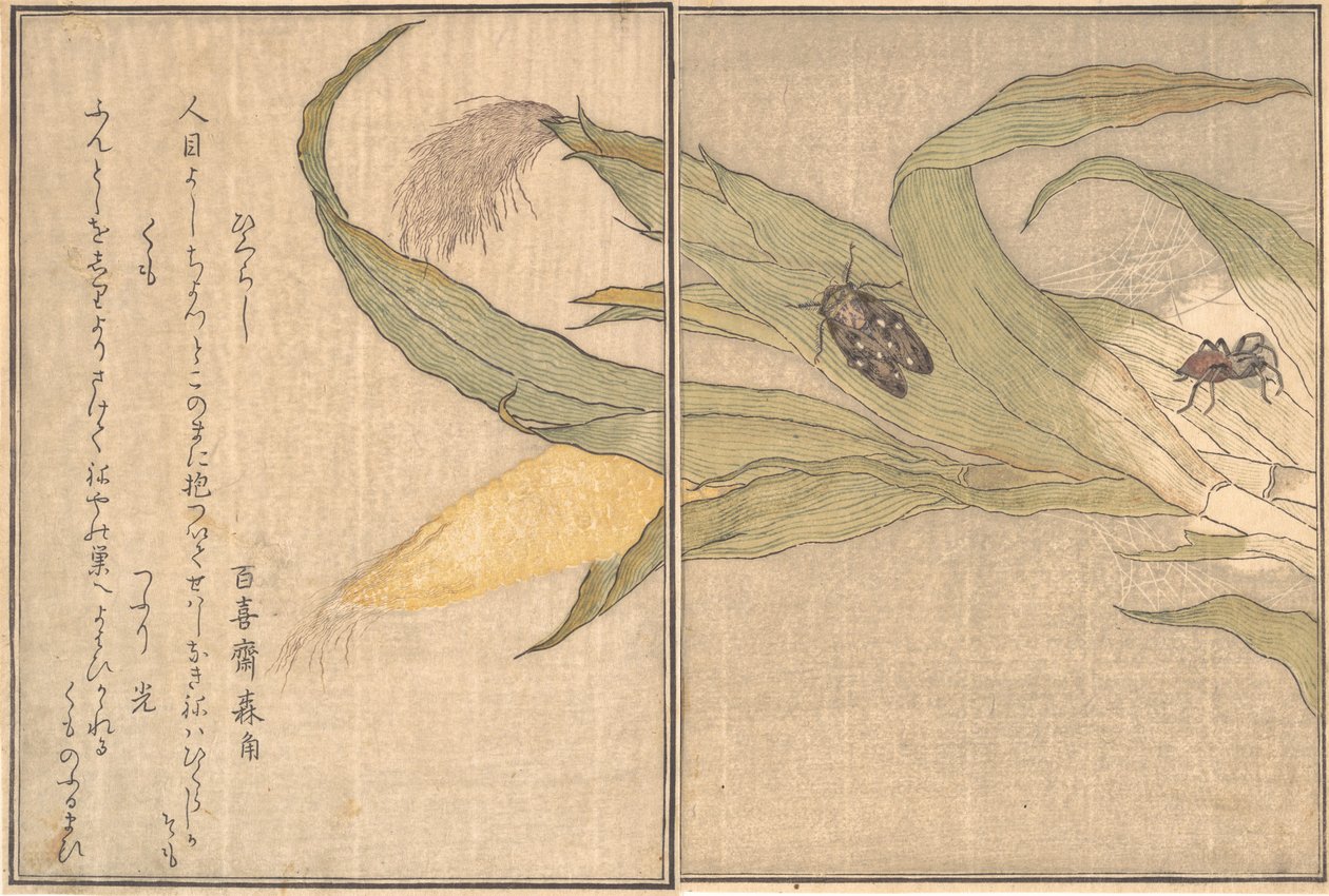 Eve mennesker Tannbehandling, Higurashi, S dager, Skyer. . . , 1788. av Kitagawa Utamaro