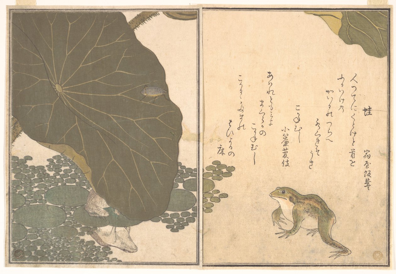 Frosk (Kaeru); gullbille (Kogane mushi), fra Bildeboken om krypende skapninger (Ehon mushi erami) av Kitagawa Utamaro