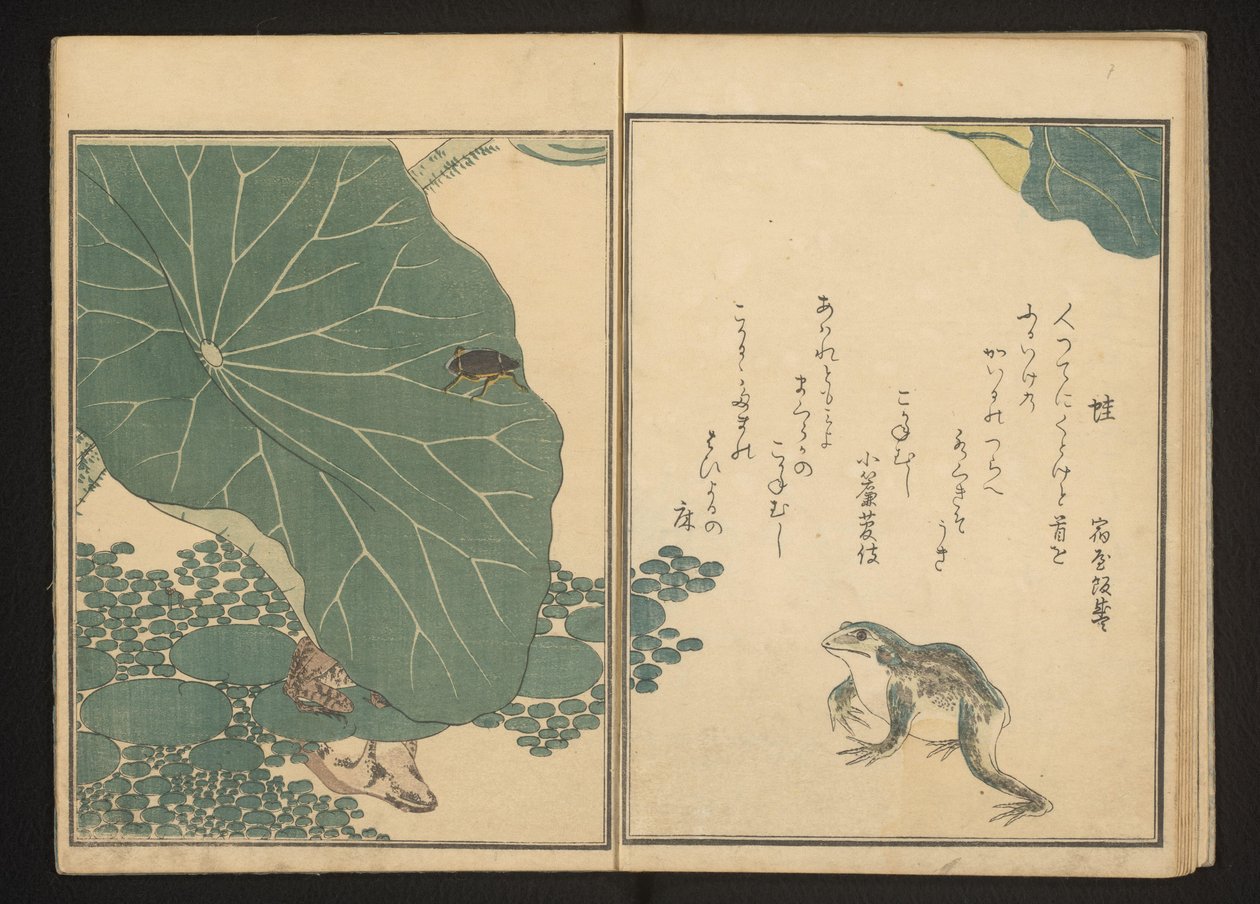 Frosker og gullbug nær lotus av Kitagawa Utamaro