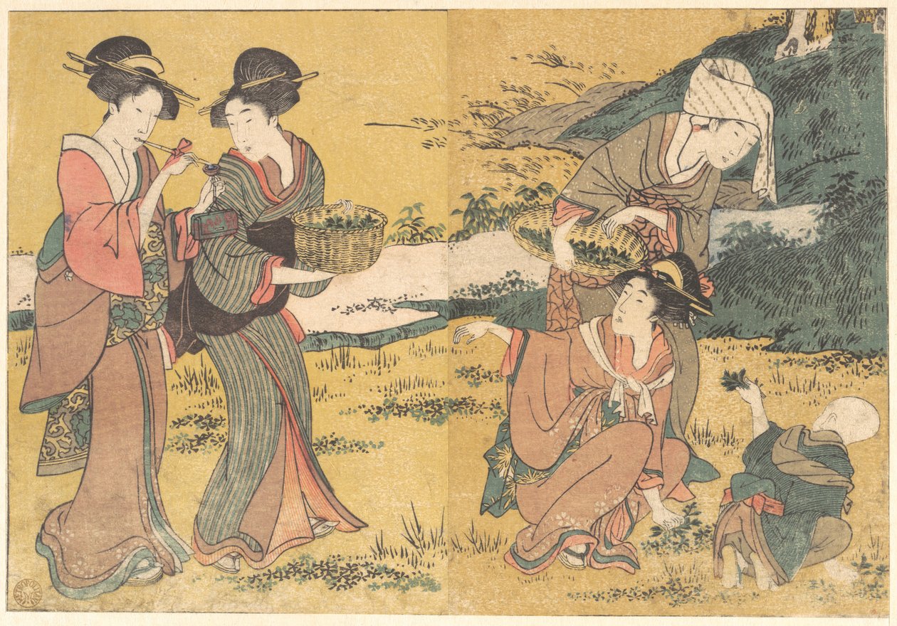 Jenter som plukker grønne blader, fra den illustrerte boken «De fire årstidenes blomster» av Kitagawa Utamaro