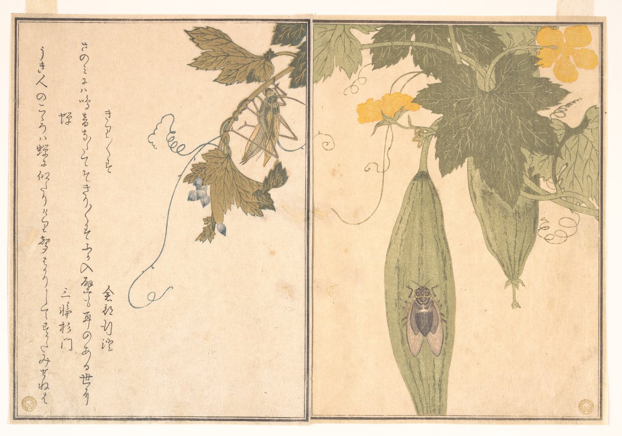 Gresshoppe (Kirigirisu); sikade (Semi), fra Bildeboken med krypende skapninger (Ehon mushi erami) av Kitagawa Utamaro