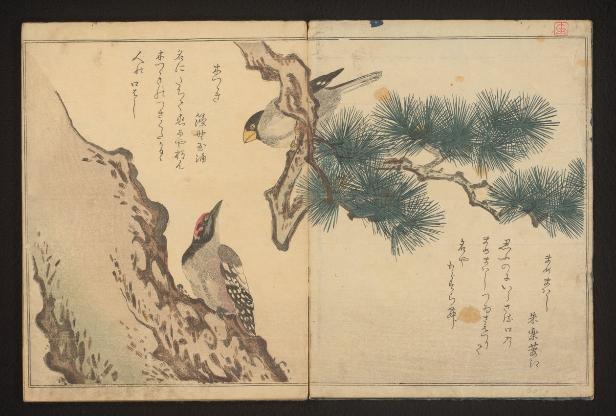 Grosbeak og hakkespett av Kitagawa Utamaro
