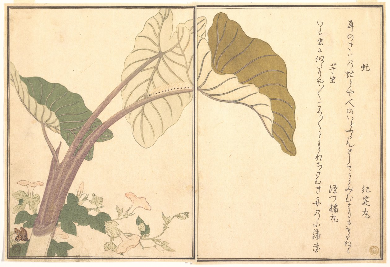 Hestebrems (abu); grønn larve, imomushi, fra Bildeboken om krypende skapninger (Ehon mushi erami) av Kitagawa Utamaro