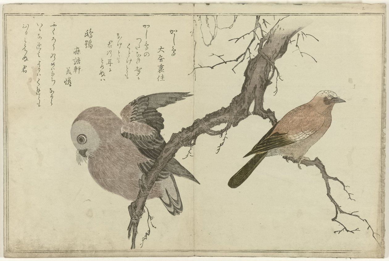 Jay og ugle av Kitagawa Utamaro