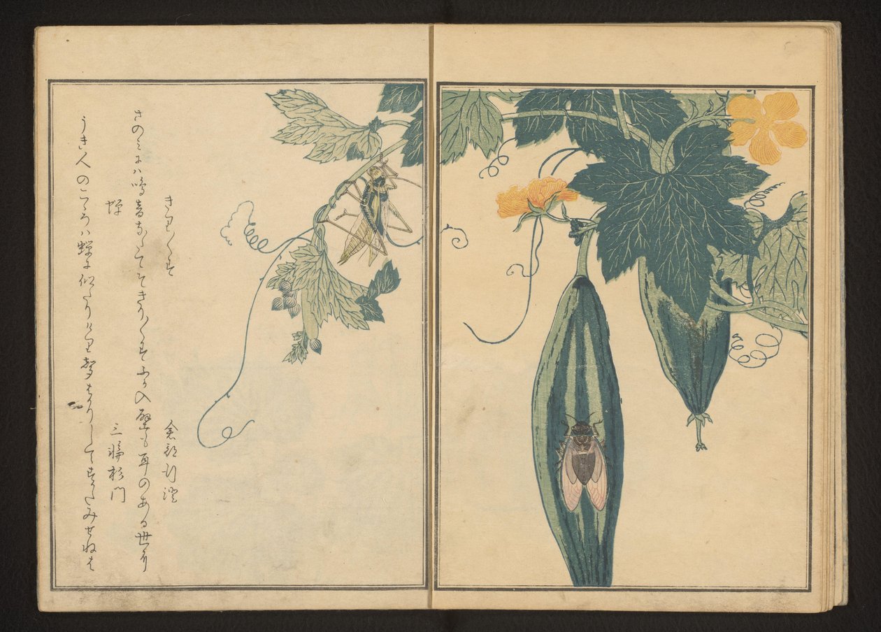 Katydid og sikader på kalebass av Kitagawa Utamaro