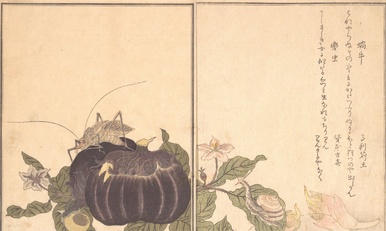 En snegl i viften d S, en snegl i nebben. . . , 1788. av Kitagawa Utamaro