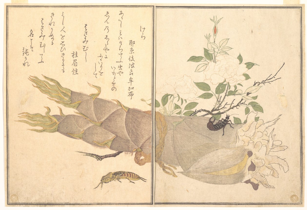 Muldvarpgresshoppe (Kera); tvestjert (Hasami-mushi), fra Bildeboken om krypende skapninger (Ehon mushi erami) av Kitagawa Utamaro