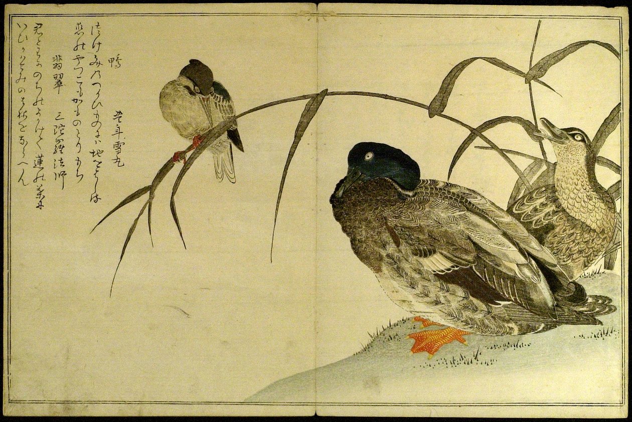  av Kitagawa Utamaro