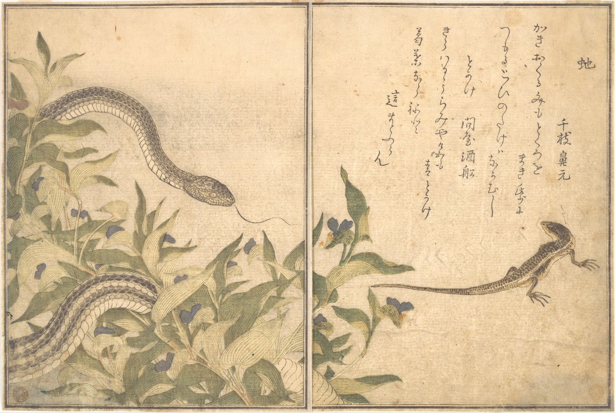 Rottesnok (Hebi); øgle eller skink (Tokage), fra Bildeboken med krypende skapninger (Ehon mushi erami) av Kitagawa Utamaro