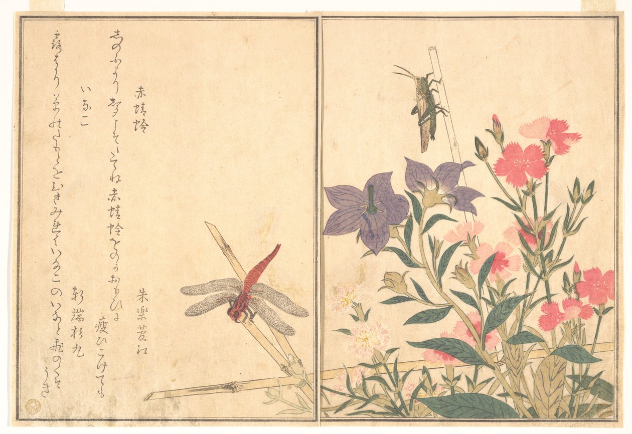 Rød øyenstikker (Akatonbo); gresshoppe (Inago), fra Bildeboken om krypende skapninger (Ehon mushi erami) av Kitagawa Utamaro