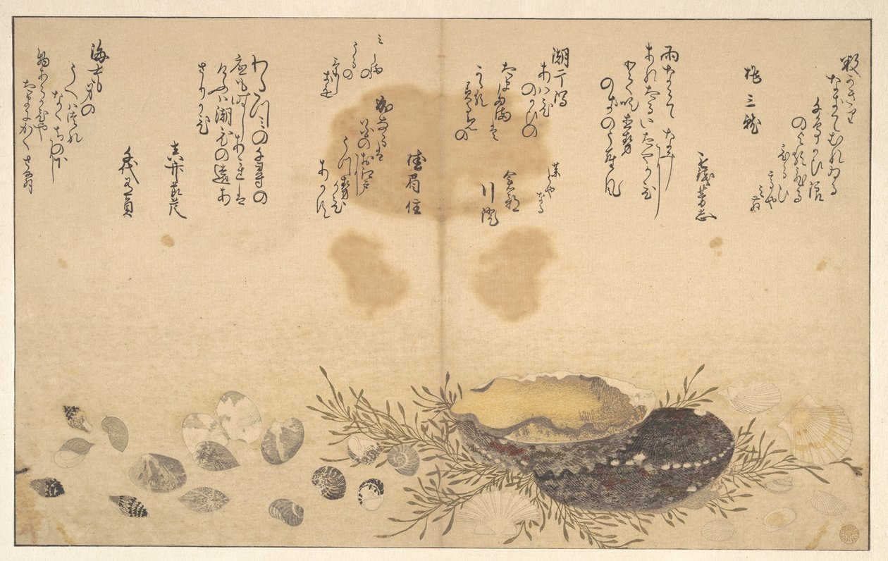 Skjell under vann av Kitagawa Utamaro