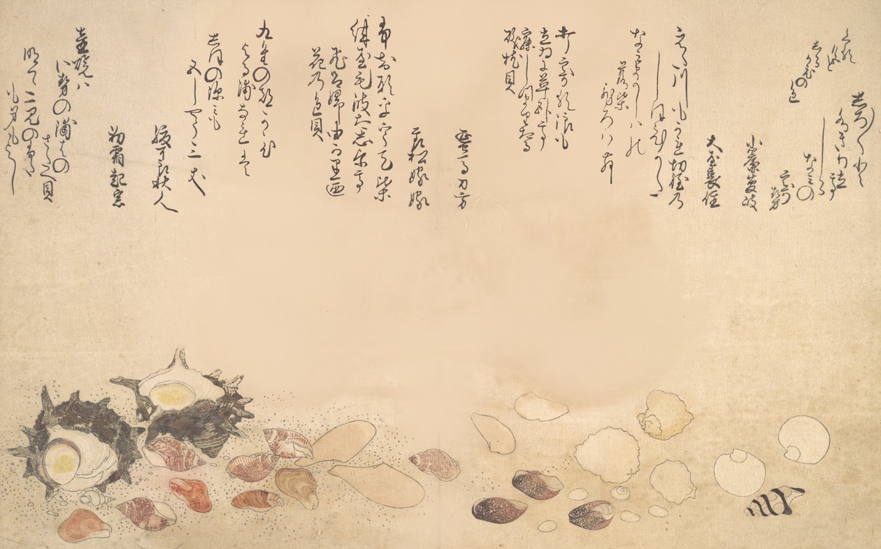 Skjell under vann, 1790. av Kitagawa Utamaro