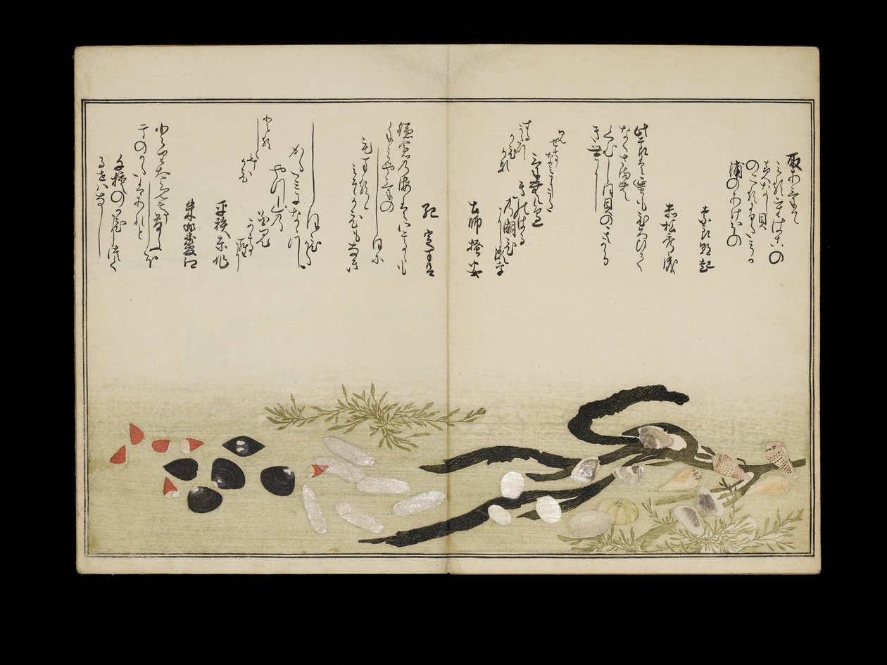 Shiohi no tsuto (Gaver fra Ebb Tide), kjent som Shell Book, 1789 (farget treblokktrykk) av Kitagawa Utamaro