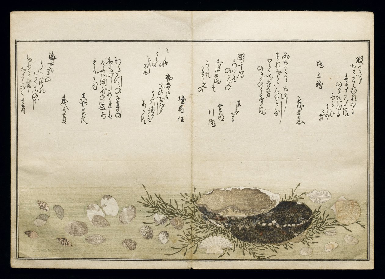 Shiohi no tsuto (Gaver fra Ebb Tide), kjent som Shell Book, 1789 (farget treblokktrykk) av Kitagawa Utamaro