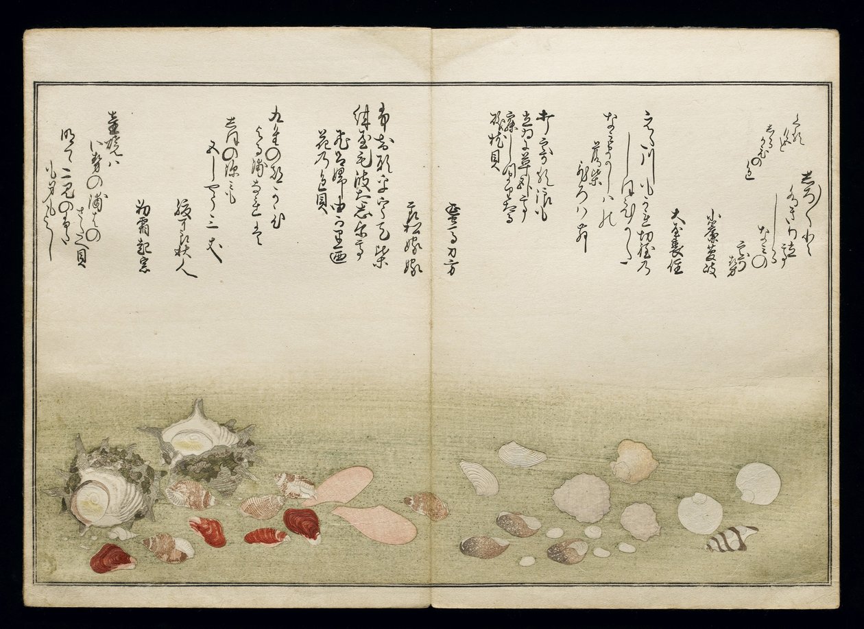 Shiohi no tsuto (Gaver fra Ebb Tide), kjent som Shell Book, 1789 (farget treblokktrykk) av Kitagawa Utamaro
