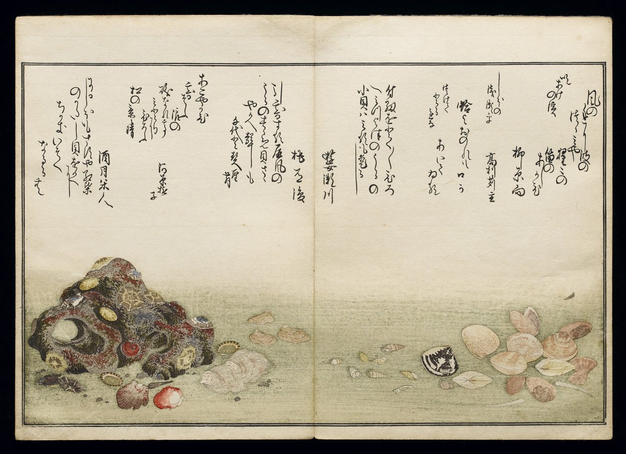 Shiohi no tsuto (Gaver fra Ebb Tide), kjent som Shell Book, 1789 (farget treblokktrykk) av Kitagawa Utamaro