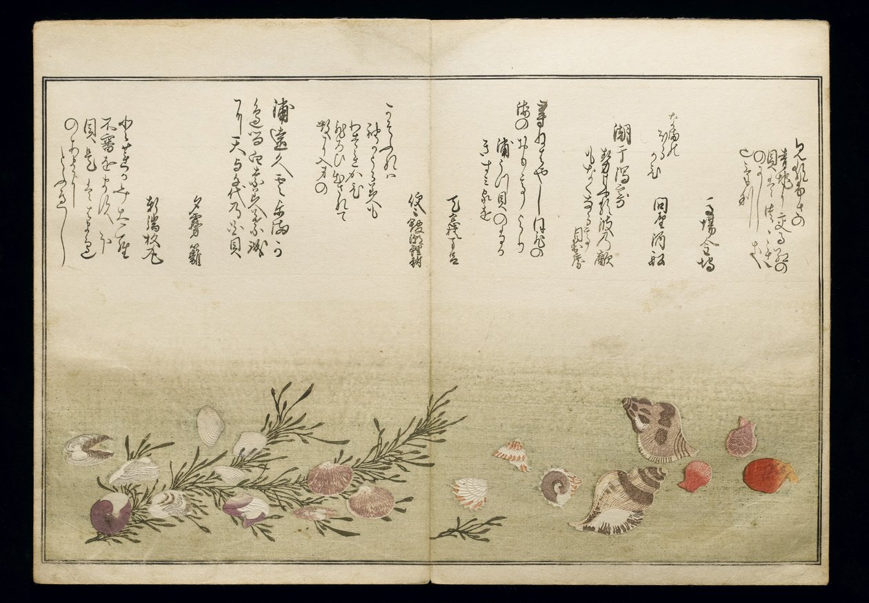 Shiohi no tsuto (Gaver fra Ebb Tide), kjent som Shell Book, 1789 (farget treblokktrykk) av Kitagawa Utamaro